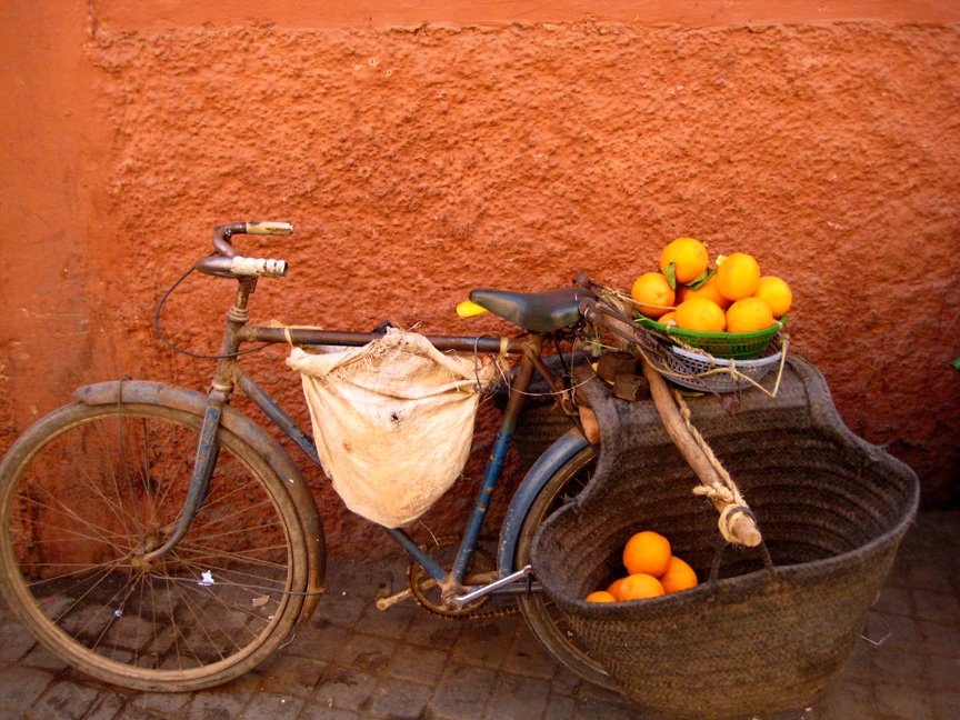[bike.jpg]