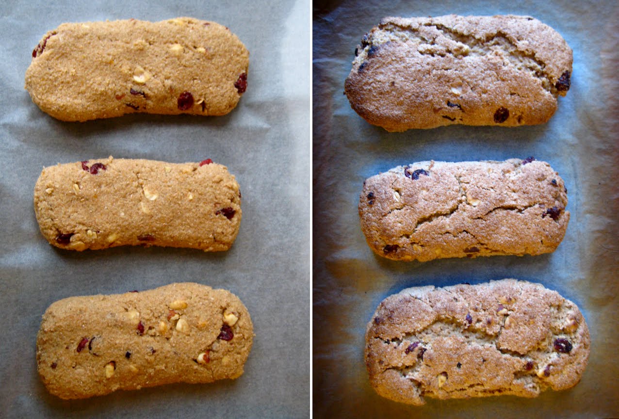 [biscotti3.jpg]