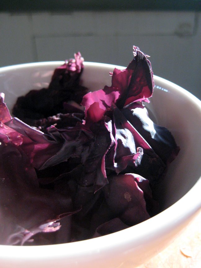 [dulse.jpg]