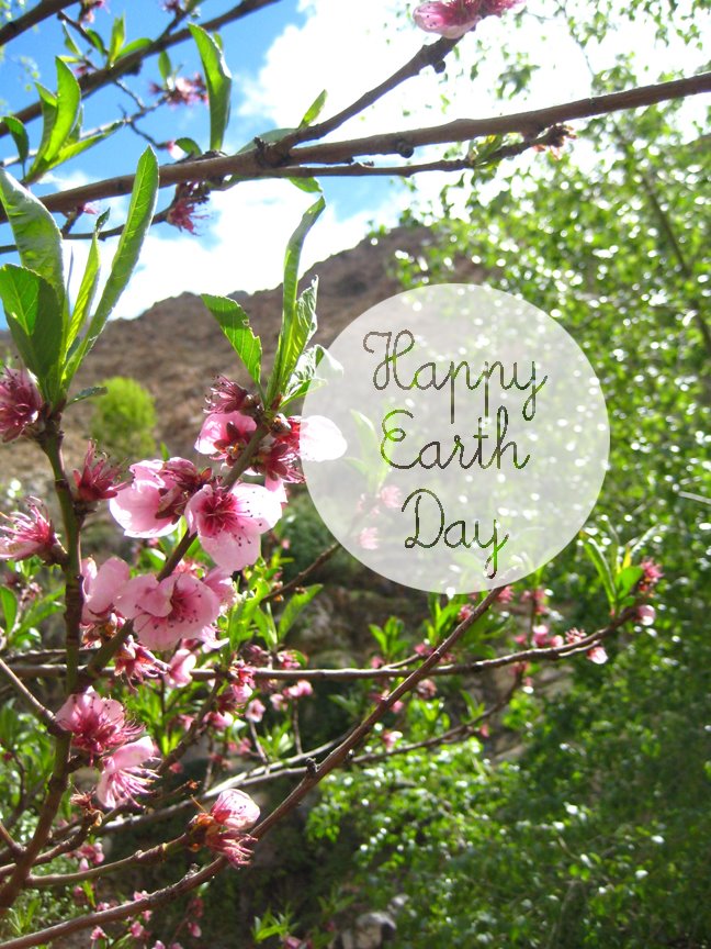 [earthday.jpg]
