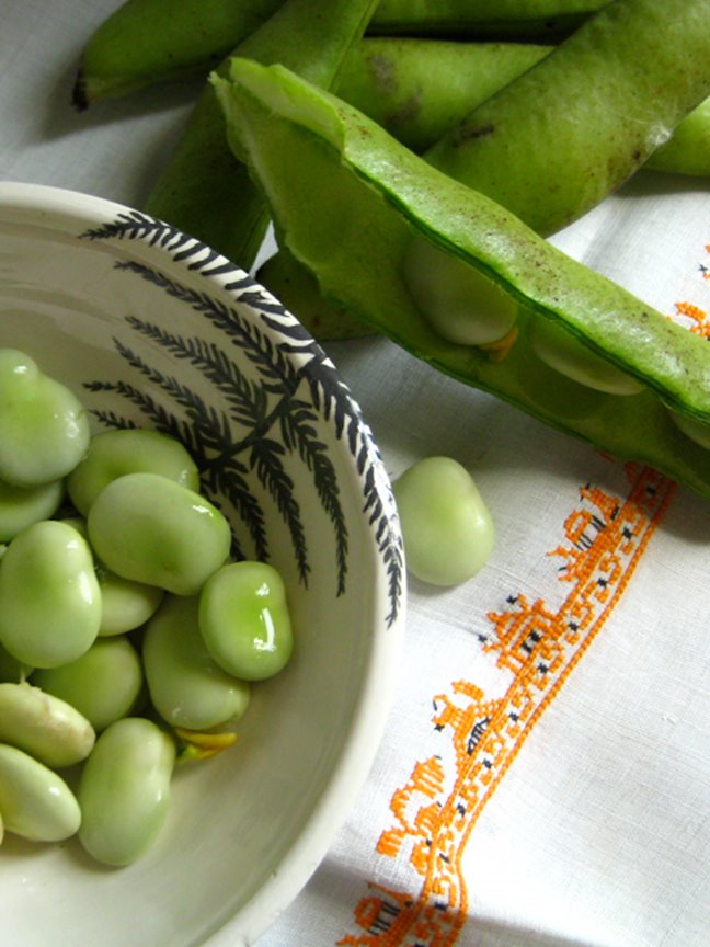 [fava3.jpg]