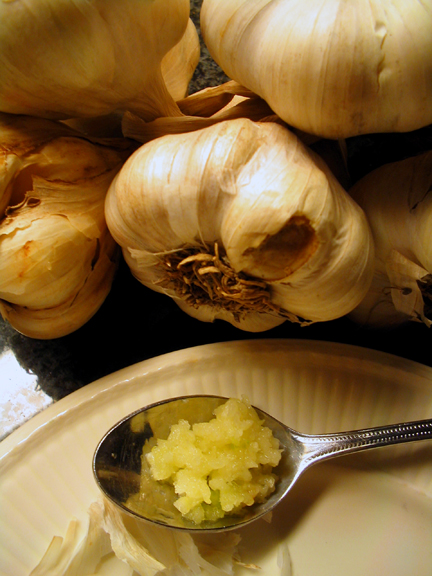 [garlic.jpg]