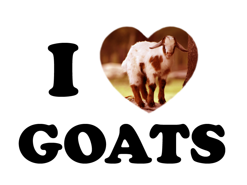 [goatheart.jpg]