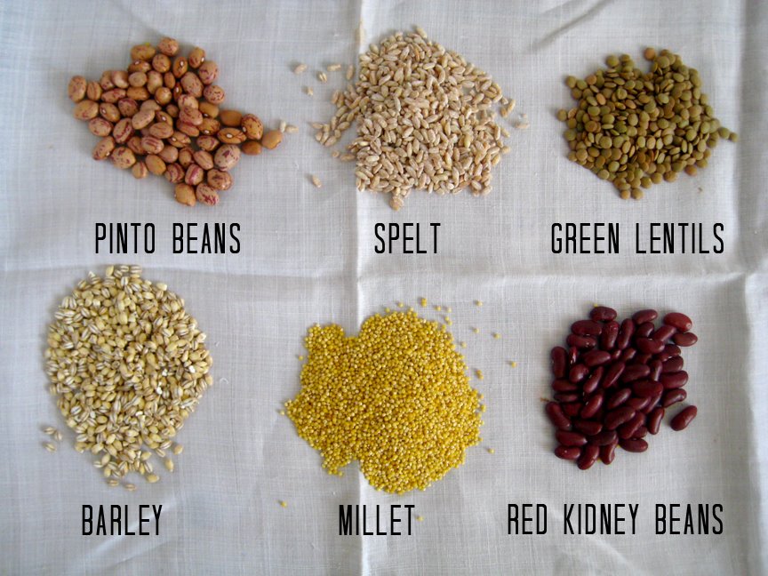 [grains.jpg]