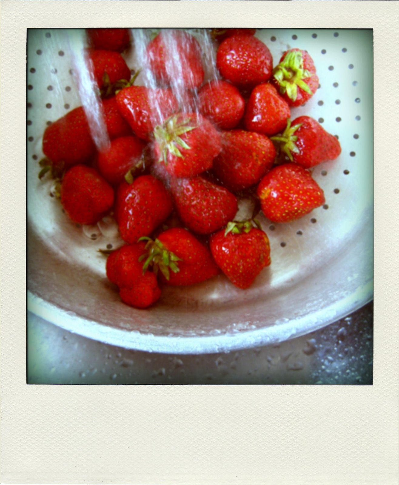 [IMG_1941-pola.jpg]