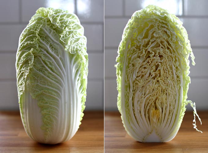 kimchi2