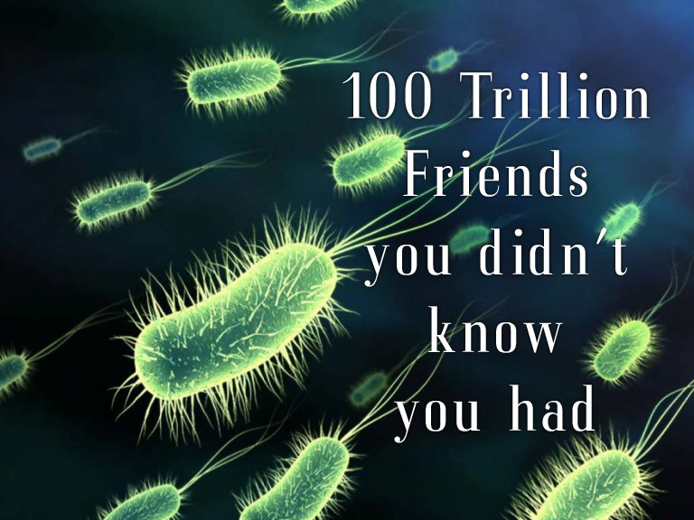 [probiotics.jpg]