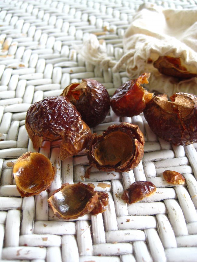 [soapnuts.jpg]