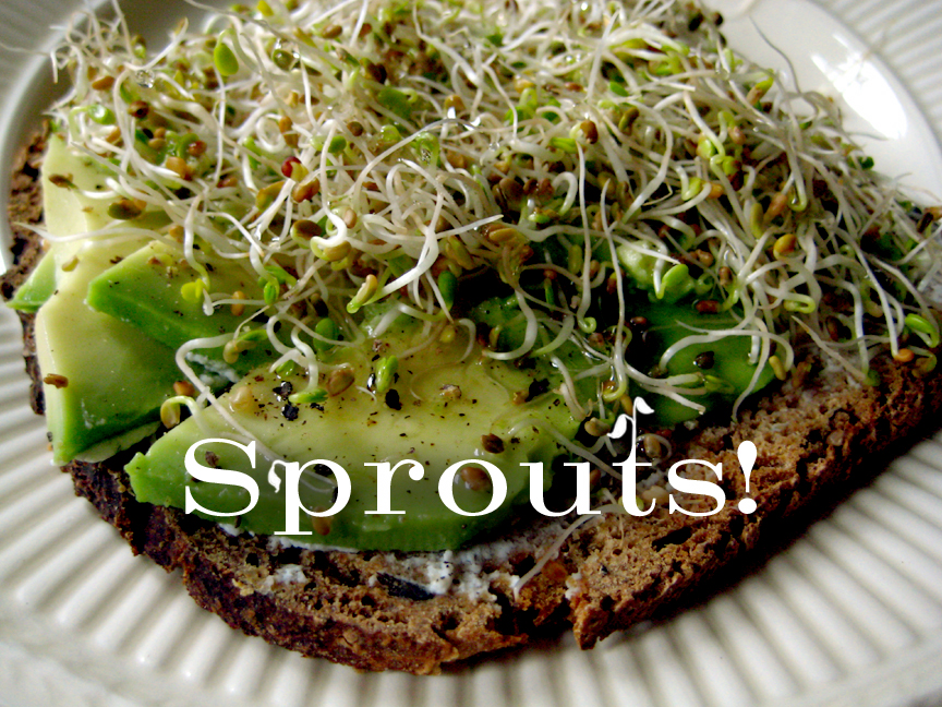 [sprouts!+copy.jpg]