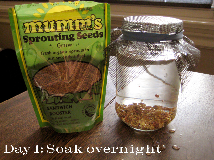[sproutsoak.jpg]