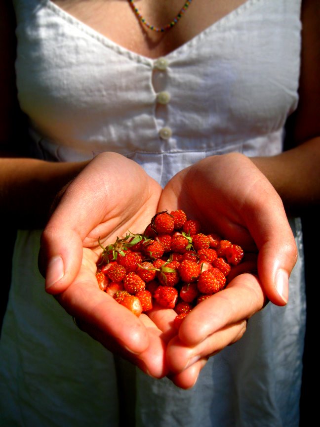 [strawberries1.jpg]