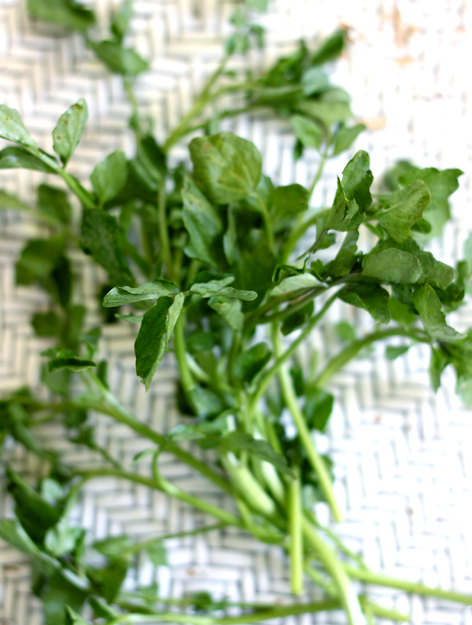 watercress